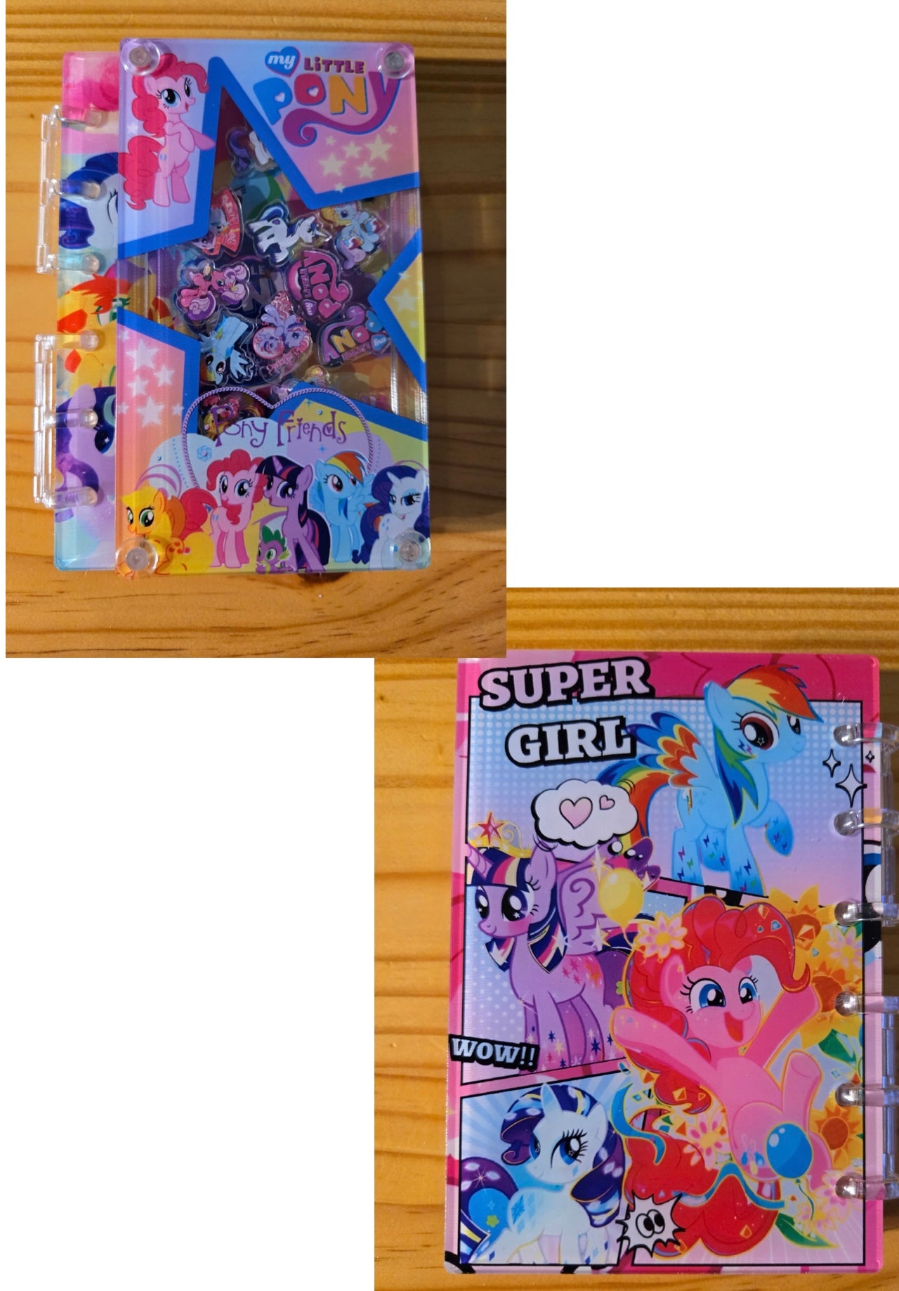 Character Inspired Acrylic Shaker Notebook