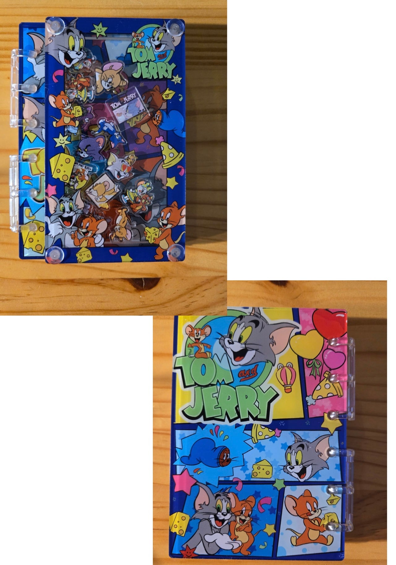 Character Inspired Acrylic Shaker Notebook