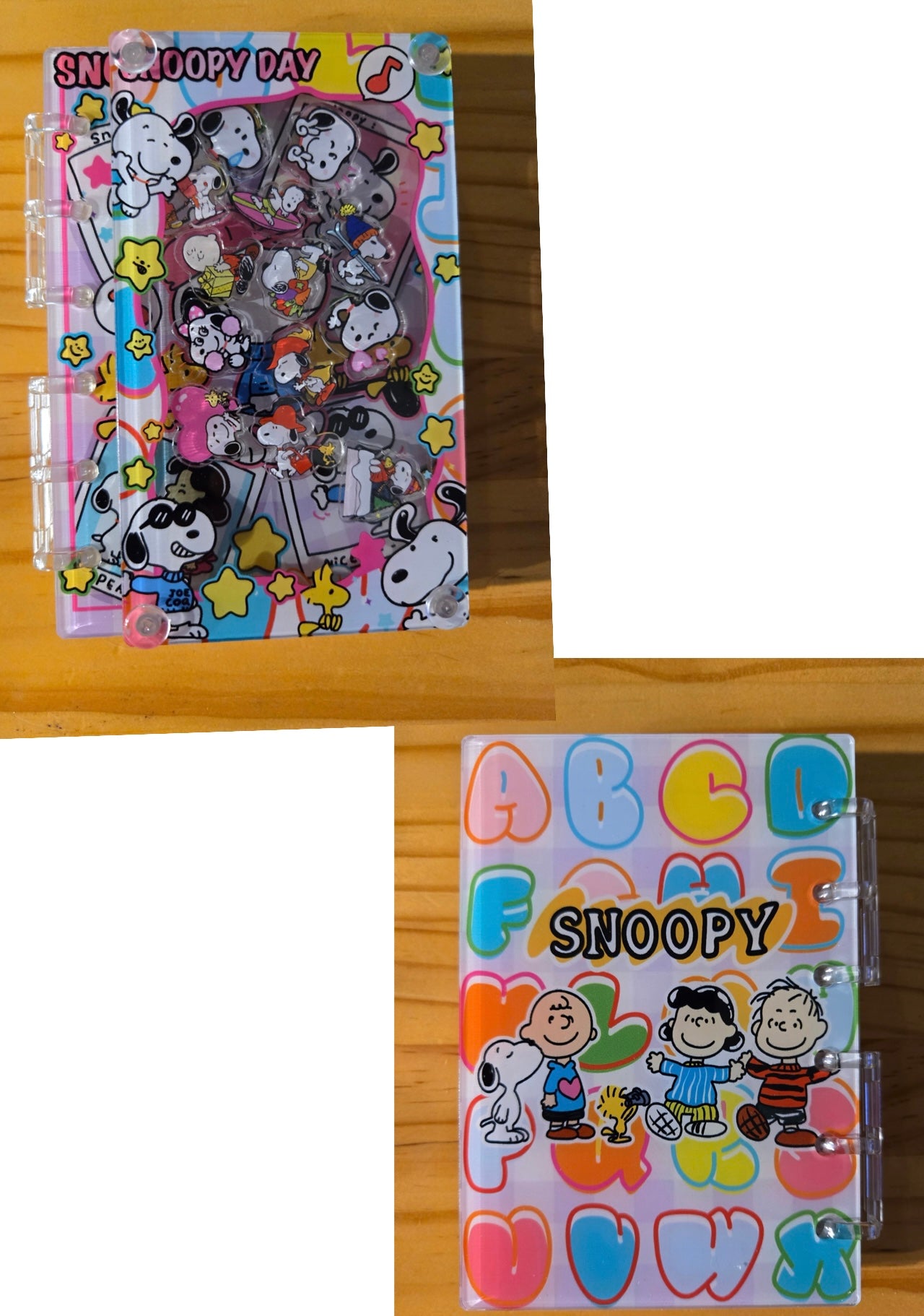 Character Inspired Acrylic Shaker Notebook