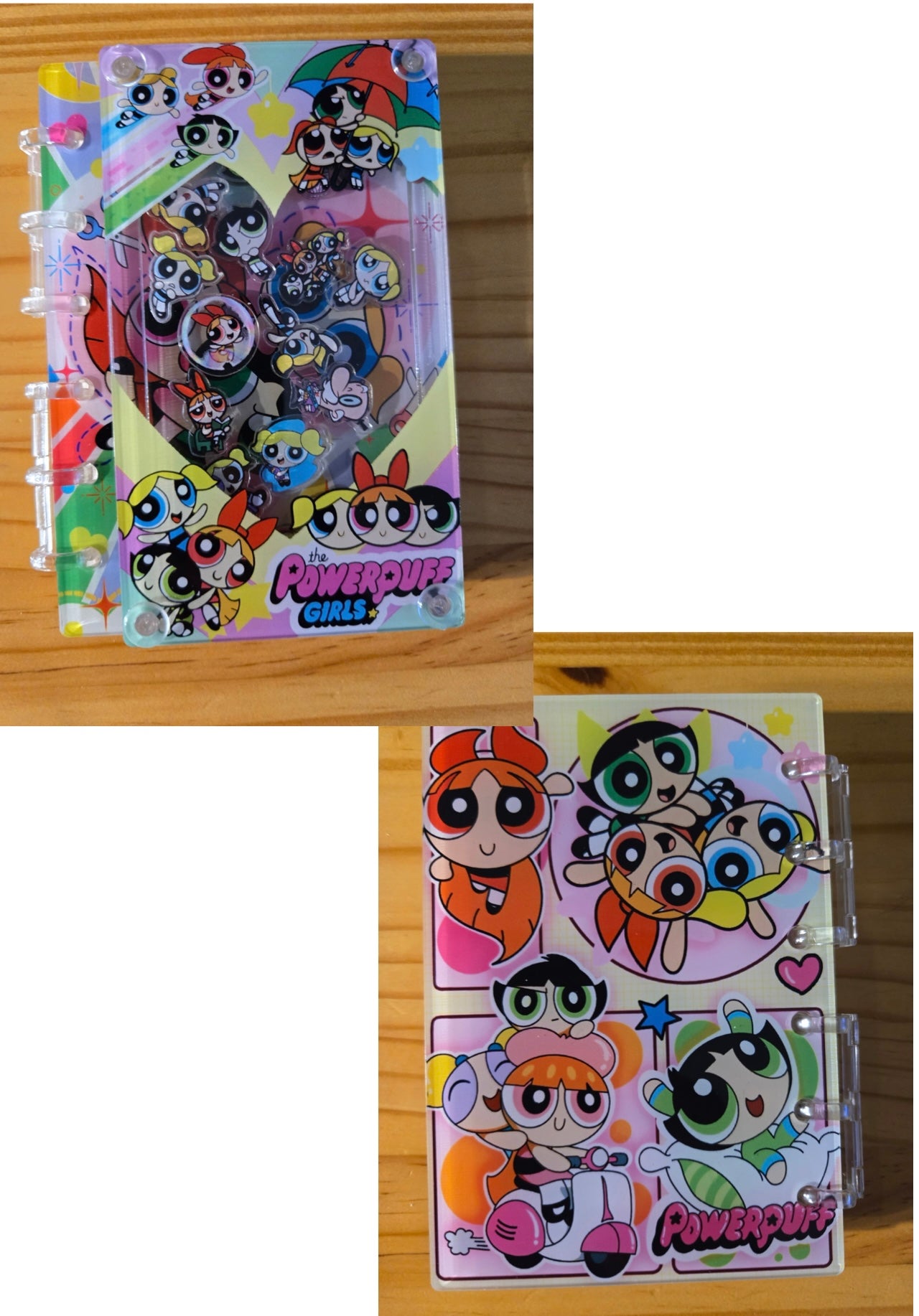 Character Inspired Acrylic Shaker Notebook
