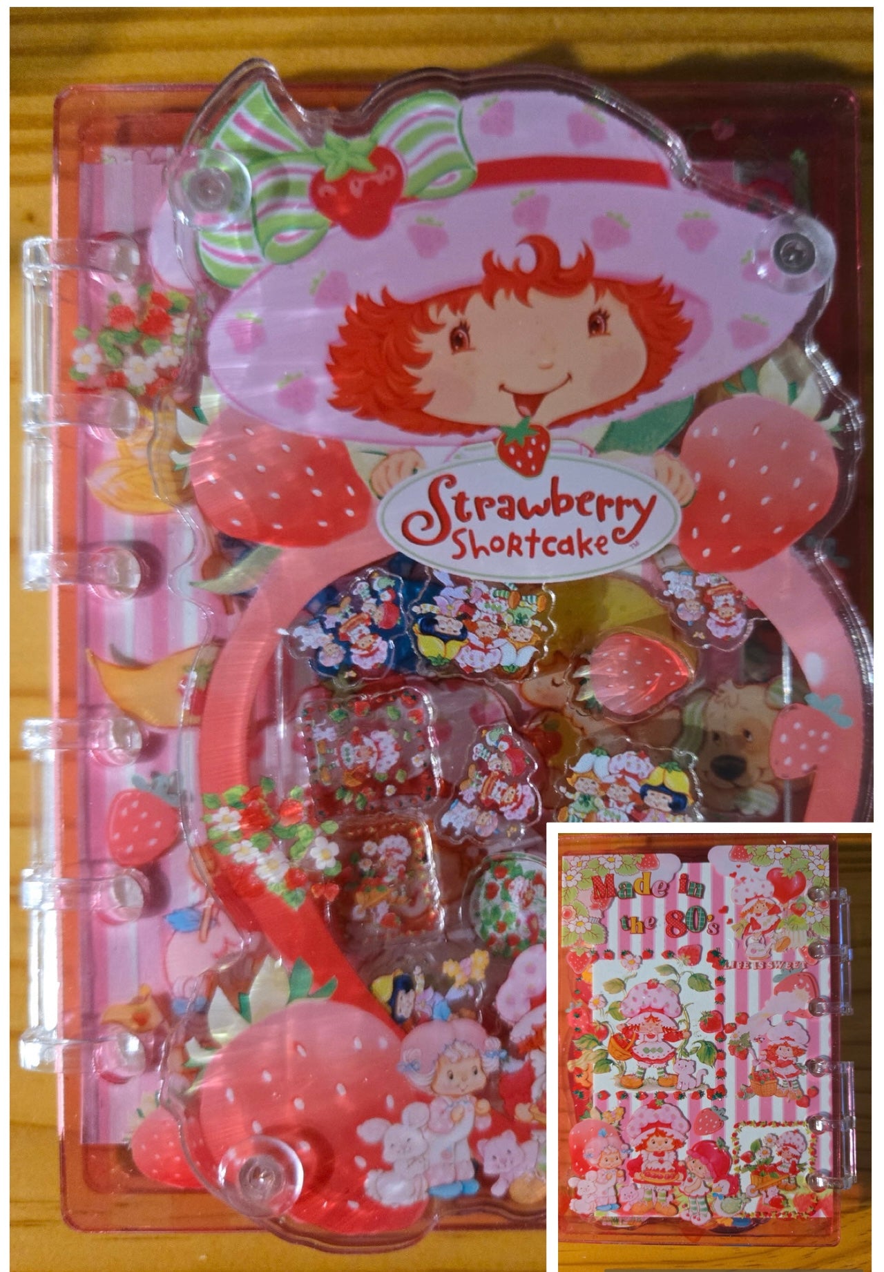 Character Inspired Acrylic Shaker Notebook