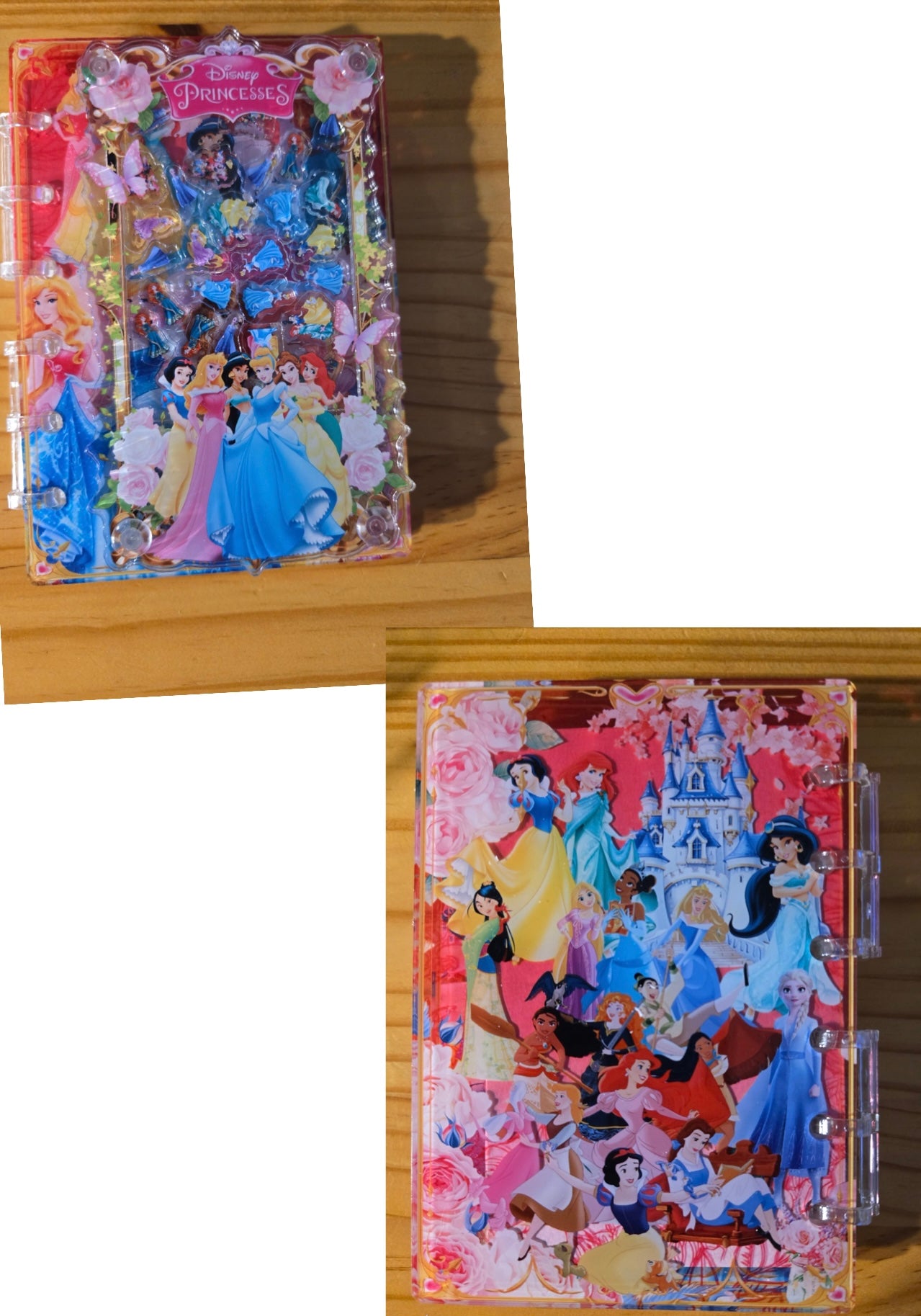 Character Inspired Acrylic Shaker Notebook