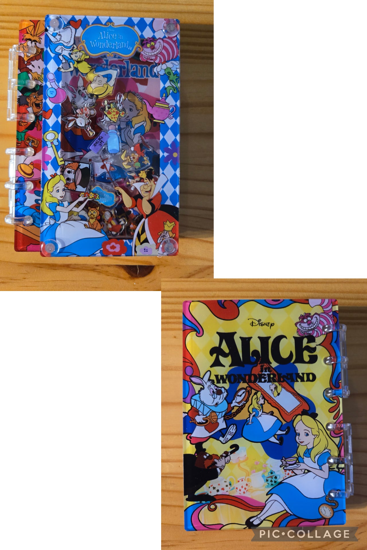 Character Inspired Acrylic Shaker Notebook