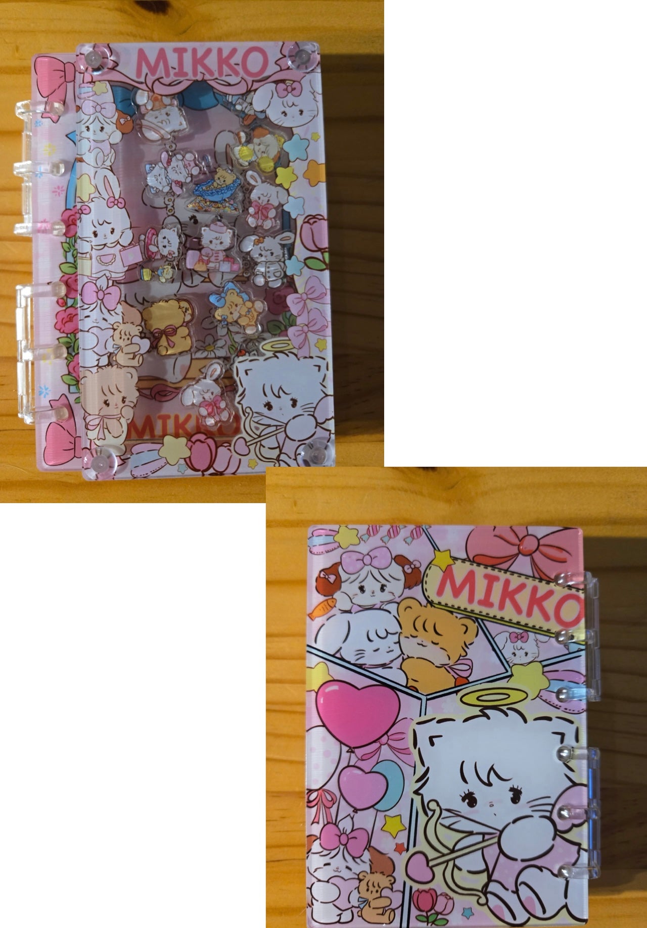 Character Inspired Acrylic Shaker Notebook